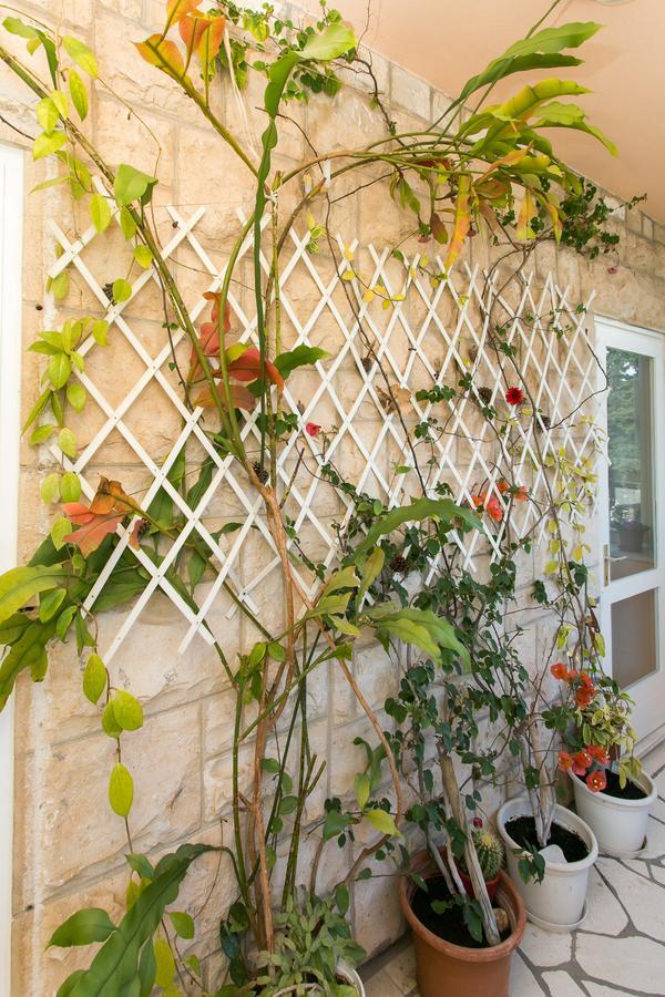 דוברובניק Yellow Room Guesthouse מראה חיצוני תמונה