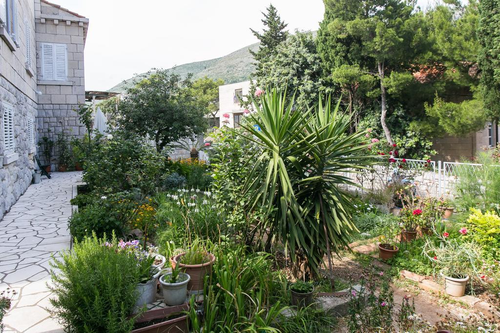 דוברובניק Yellow Room Guesthouse חדר תמונה
